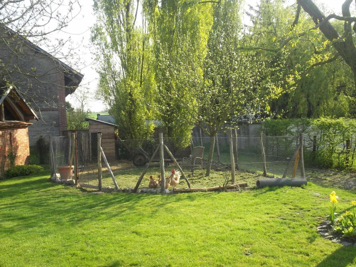 Chambre D'Hotes Des P'Tits Bonheurs Dosches Exterior photo